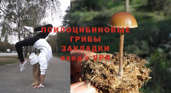 герыч Ростов