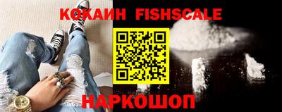 тгк Гай