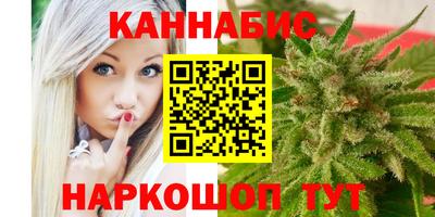 тгк Гай