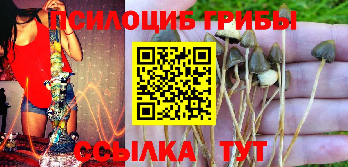 Галлюциногенные грибы мицелий Россия