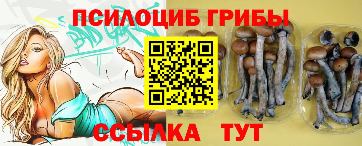 Псилоцибиновые грибы Magic Shrooms  Вход с VPN  Россия  Псилоцибиновые грибы Psilocybine cubensis 