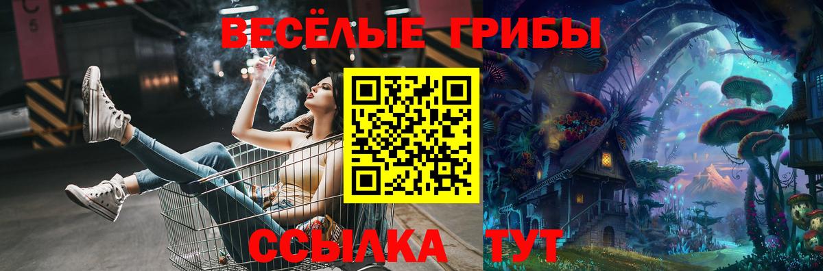 Псилоцибиновые грибы мухоморы Россия