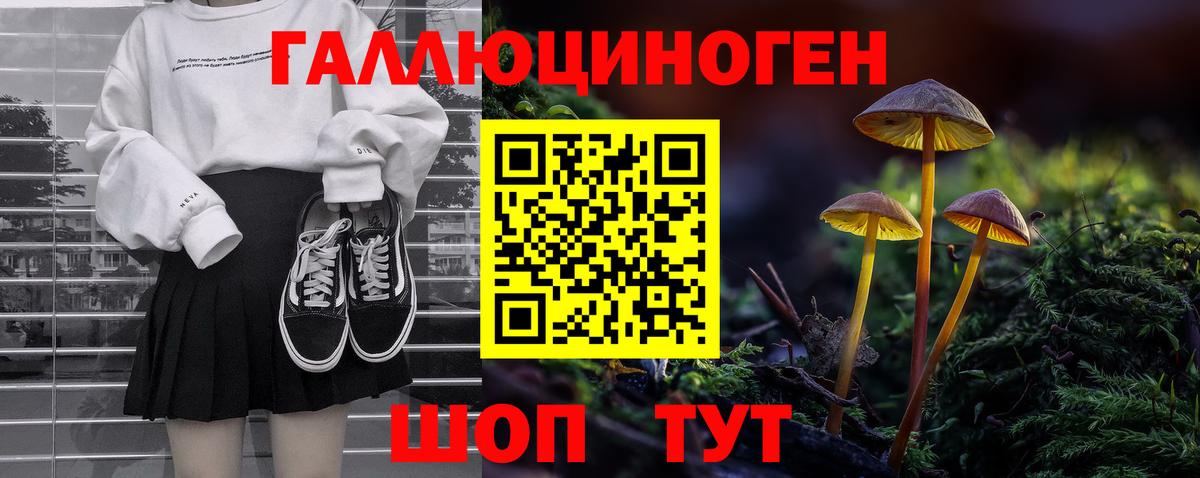 Россия  Псилоцибиновые грибы Psilocybe  Вход с VPN 